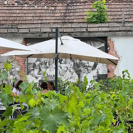 Apartma Kolodvor 1870 - Old Town *